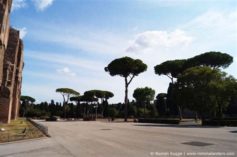 Caracalla therme gesundes & entspanntes abkühlen! Die Caracalla Thermen in Rom: Infos, Eintrittspreise ...