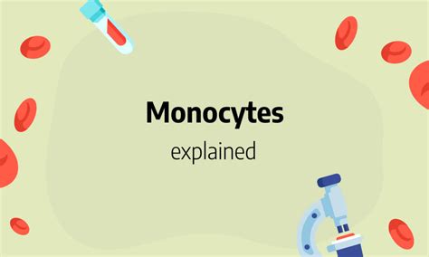 Monocytes Low High Absolute Count And Normal Range Causes