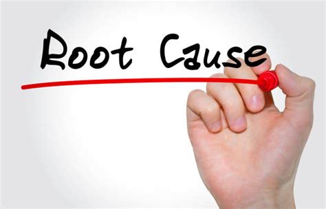 Root Cause Stock Photos Pictures And Royalty Free Images Istock