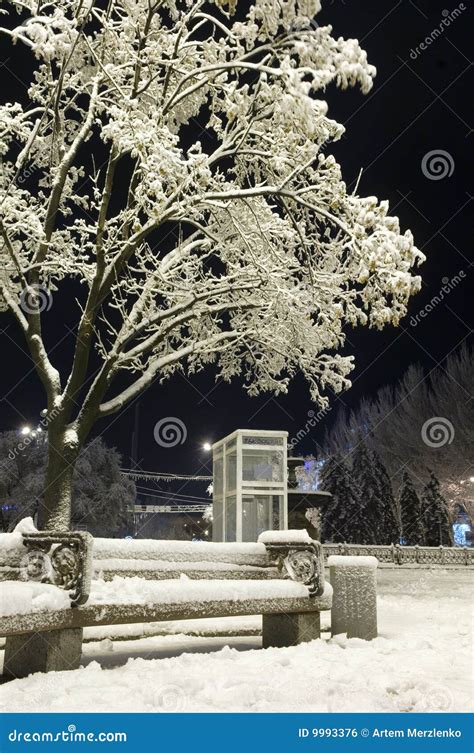 Nightly City In Winter Stock Photo Image Of Forest Frost 9993376