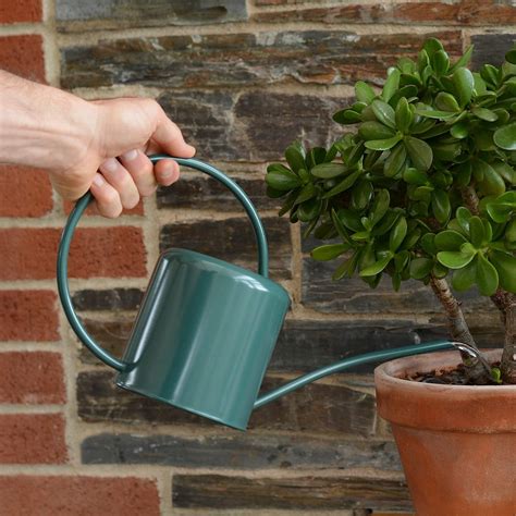 Indoor Watering Can 14l Green Coloured Steel