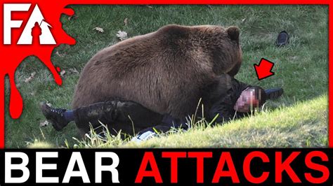 Deadliest Bear Attacks Of 2022 Marathon Youtube