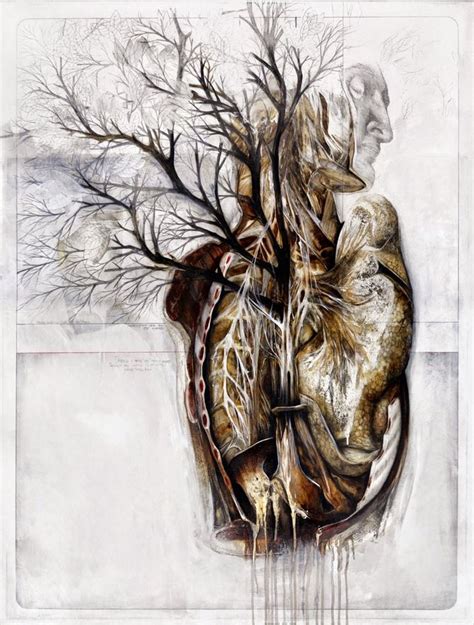 Beautiful Anatomical Illustrations By Nunzio Paci Crispme Human
