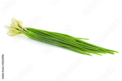 Bunch Of Fresh Green Chives Isolated Stock Photo And Royalty Free