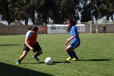 Contact oscar castro zuñiga on messenger. Liceo Comercial Diego Portales se adjudicó torneo comunal ...