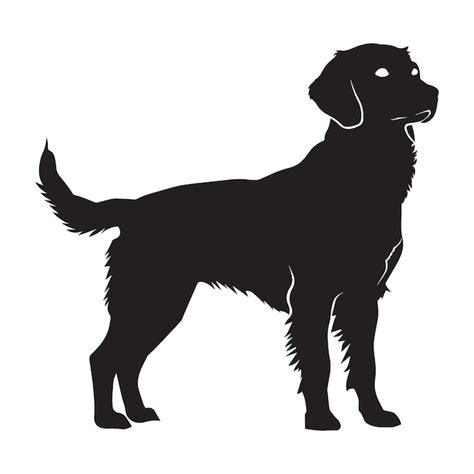 Brittany Spaniel Silhouette Images Free Download On Freepik