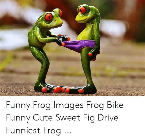 25 Best Memes About Frog Images Frog Images Memes