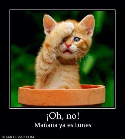 Imagenes MaÃ±ana Es Lunes Despo