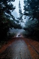 Silhouettes Of Two People Walking Away Down Forest Path Photograph by ...