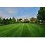 Earthadelic Landscape Renewals  Knoxville Lawn Care Yard
