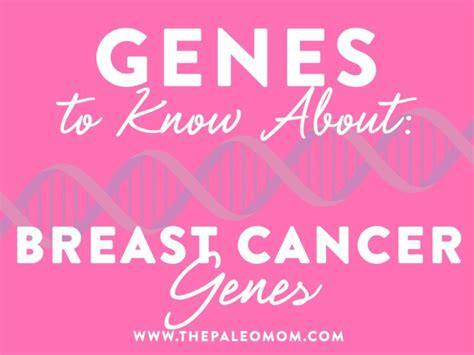 Genes To Know About Breast Cancer Genes ~ The Paleo Mom