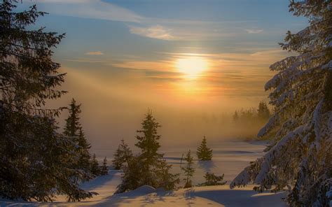 Landscape Nature Sunset Winter Mist Forest Snow Trees Cold Shadow Wallpapers Hd