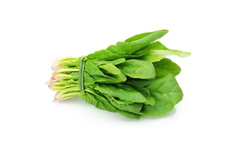 Fresh Spinach Bunch Evergreen Foods