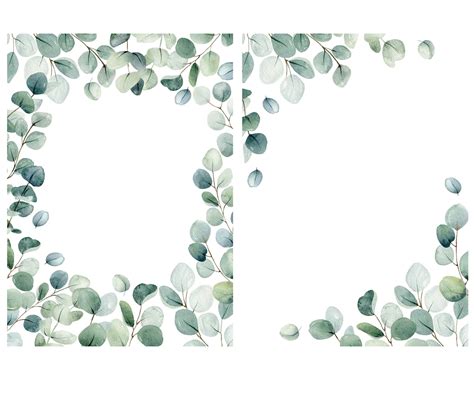 Watercolor Eucalyptus Clipart Frame Greenery Frames Clip Art Clipart My Xxx Hot Girl