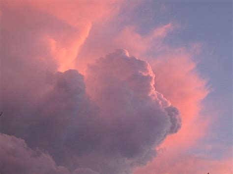 The Clouds Are Pink And Purple In The Sky