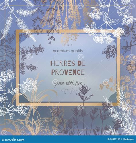 Herbes De Provence Template On Blurred Background With Botanical