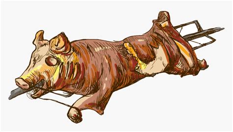 Pig Roast Suckling Pig Roasting Illustration Roasted Pig Drawing Png