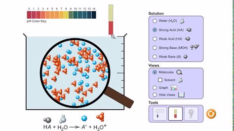Arrhenius acids and bases a. Acid Base Solutions pHet simulation - YouTube