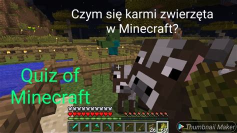 Czym Si Karmi Zwierzaczki W Minecrafta Quiz Of Minecraft