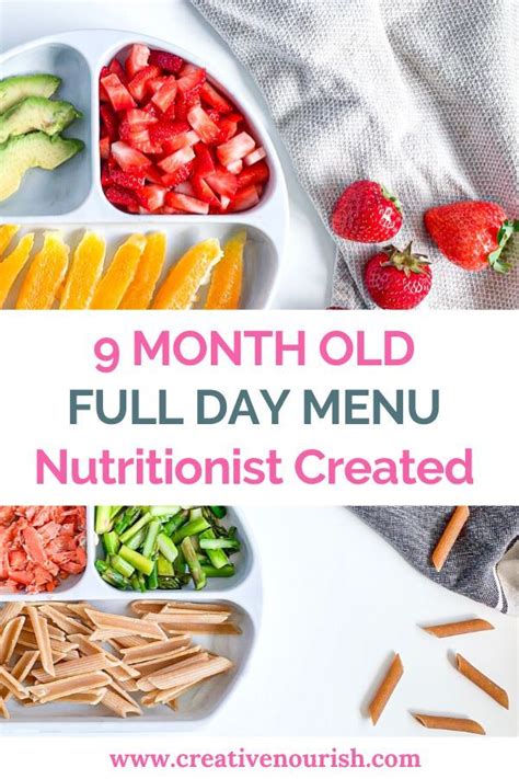 9 Month Old Meal Plan   Nutritionist Approved   Creative  