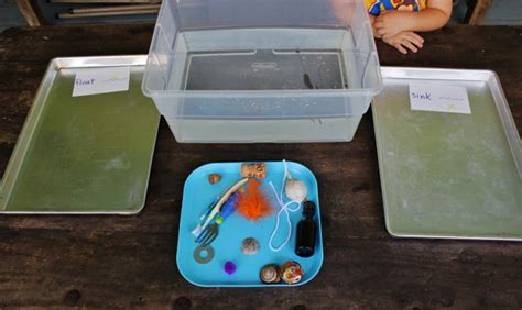 Float Or Sink Preschool Activity Mamaguru