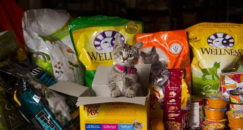 After hours donations can be left in donation bins inside our front door. Pet Food Banks Are on the Rise—Here's How to Support One ...