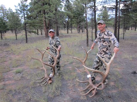 Jay Scott Outdoors Arizona Elk Hunting Update Unit 9 Elk Pics