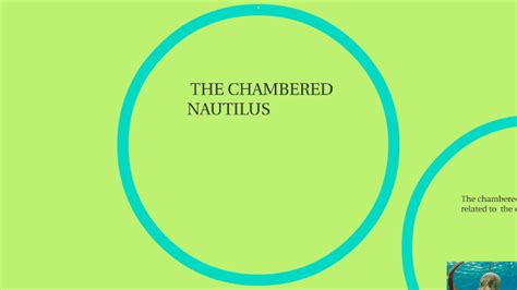 The Chambered Nautilus By Yareliz Medina