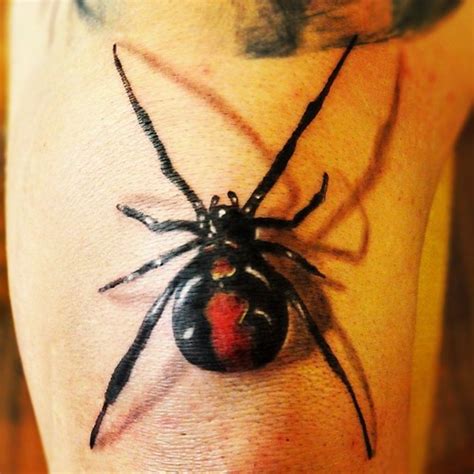 Redback Spider Tattoo Tattoo Guy Flickr