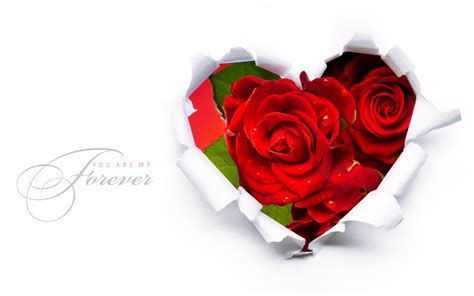 Red Roses In A Heart Shape Wallpapers 2560x1600 581420