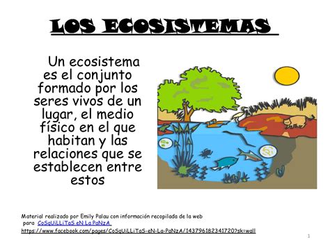 EducaciÓn Ambiental Unidad 2 Ecosistema