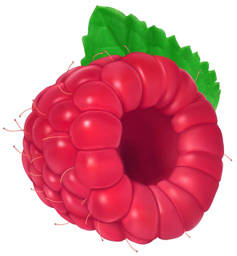 Raspberry Png Clip Art Image Gallery Yopriceville High Quality
