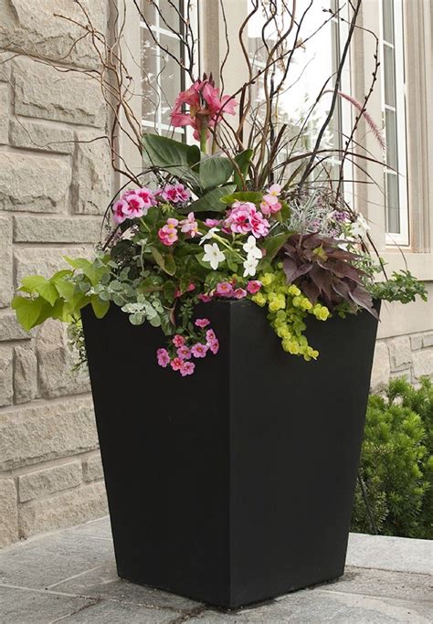 Stunning Black Flower Summer Planter Flower Pots Outdoor Summer