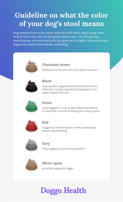 Dog Poop Color Chart Find Out What Each Color Means Dog Poop 101 Find