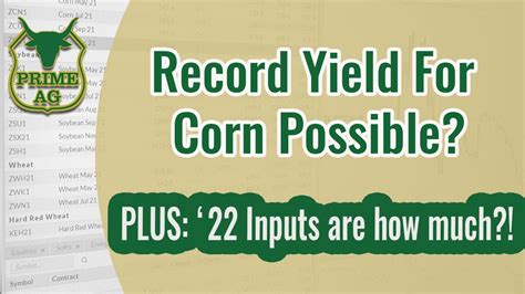 Record Corn Yield Possible Youtube