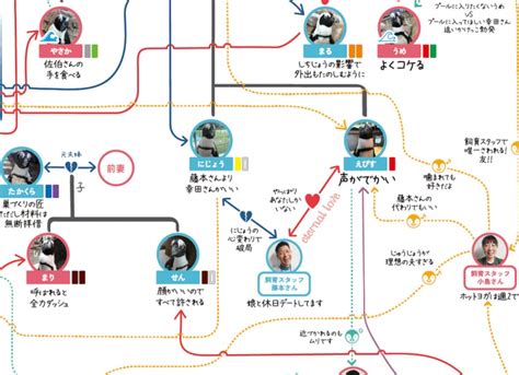 Japanese Aqariums Flowchart Illustrates The Complex Relationships Of