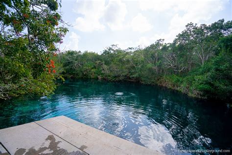 Cenote Carwash Tulum Ultimate Guide 2020 The Whole World Is A