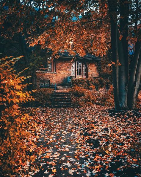 Popular Concept Fall Vibes Wallpaper Artsy Pictures