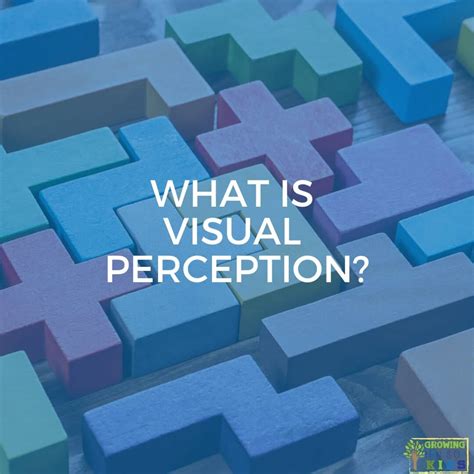 What Is Visual Perception