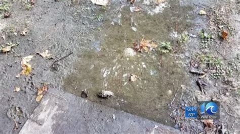 City Sewage Floods Virginia Beach Womans Yard Again