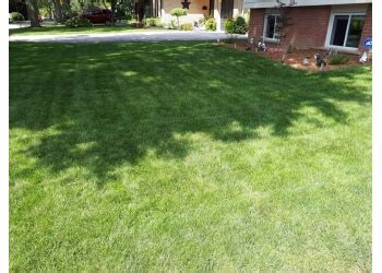Each visit that takes place can be made ask if nutsedge control and grassy weed control is included. 3 Best Lawn Care Services in St. Catharines, ON - Expert Recommendations
