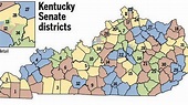 State Senate election battles to watch this fall in Kentucky ...