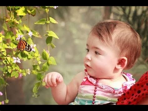 Kupu kupu yang lucu lagu anak indonesia kartun babybus video edukasi anak lagu anak populer. Kupu kupu yang lucu, lagu anak populer - YouTube