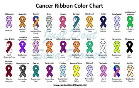 Colors Of Cancer Awareness Ribbons Symbolizing Support And Solidarity Just Dont Send Flowers