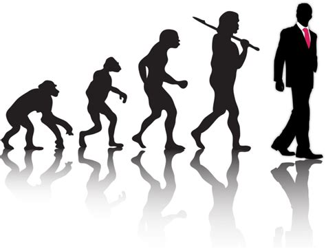 Free Evolution Cliparts Download Free Evolution Cliparts Png Images
