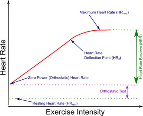 How To Calculate Heart Rate Gcse Pe Haiper