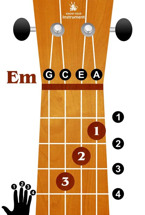 Basic Ukulele Chords For Beginners Know Your Instrument