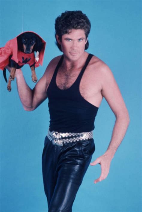 Just David Hasselhoff With Some Puppies Vintage News Daily