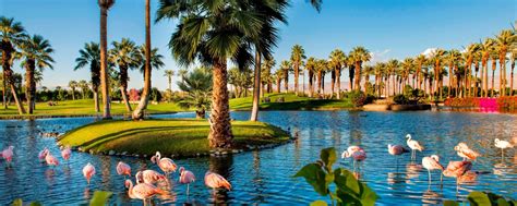 Palm Springs Ca Resort Jw Marriott Desert Springs Resort And Spa