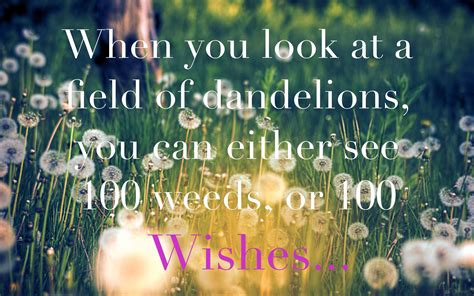When You Look At A Field Of Dandelions You